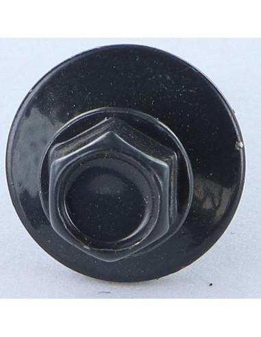1 x Vis autoperceuse Tête hexagonale TH 5.5X25...