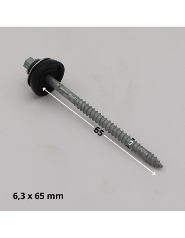 1 x Vis autoperceuse Tête hexagonale TH 6.3X65...