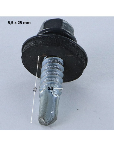 1 x Vis autoperceuse Tête hexagonale TH 5.5X25...