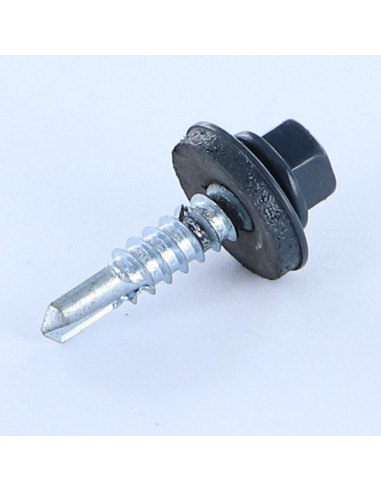 1 x Vis autoperceuse Tête hexagonale TH 5.5X25...