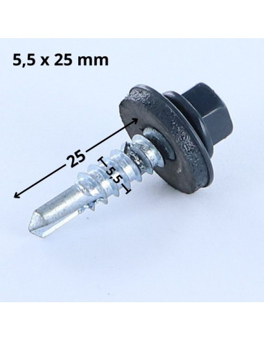1 x Vis autoperceuse Tête hexagonale TH 5.5X25...