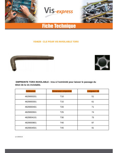 1 x Clé Pour Vis Inviolable TORX T20 Acier brut
