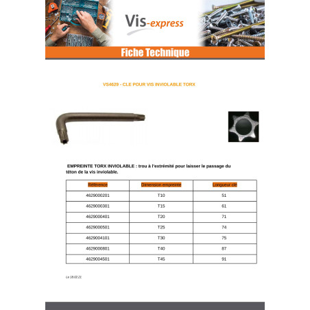 1 x Clé Pour Vis Inviolable TORX T20 Acier brut