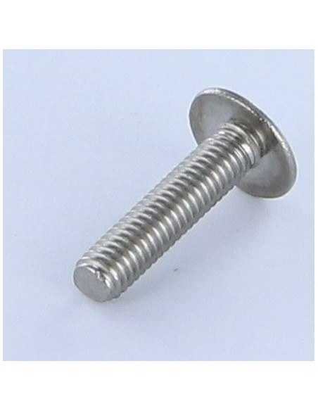 1 x Vis Poelier Fendue Inox A2 M6X60