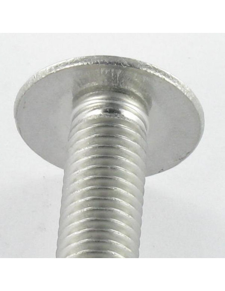 1 x Vis Poelier Fendue Inox A2 M6X80