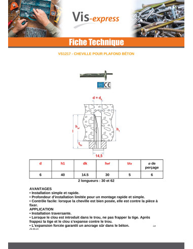 1 x Cheville Pour PLAFOND Béton 6X62