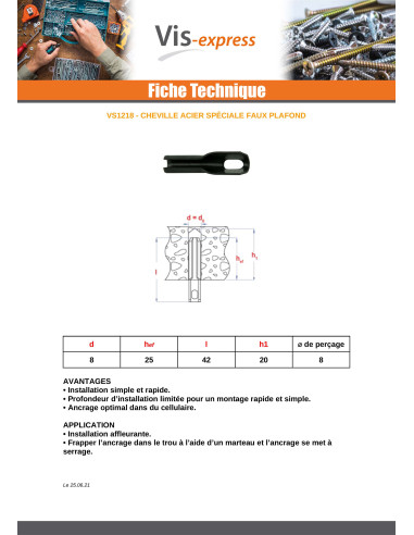 1 x Cheville Pour PLAFOND et LUMINAIRE 8X42
