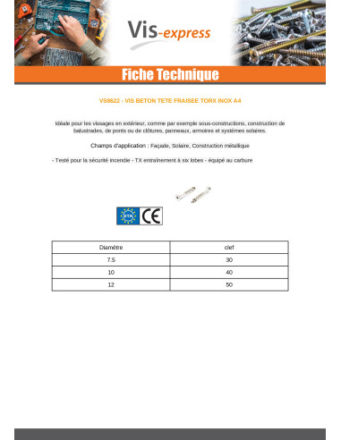 1 x Vis béton Tête fraisée TORX T40 Inox A4...
