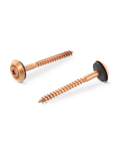 1 x Vis faitage Tête fraisée bombée TFB TORX...