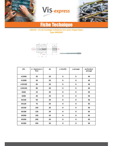 1 x Vis de réglage pour fenêtre bois TORX T25...