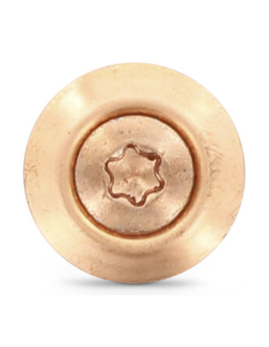 1 x Vis faitage Tête fraisée bombée TFB TORX...