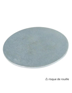 Rondelle / Disque sans trou 50X4 Acier brut 2