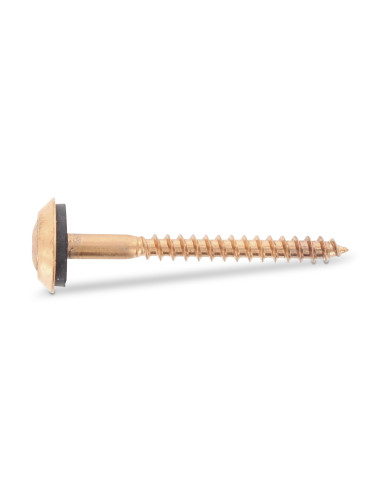 1 x Vis faitage Tête fraisée bombée TFB TORX...