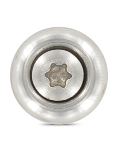 Vis faitage Tête fraisée bombée TFB TORX T20 Inox A2... 2