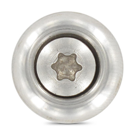 1 x Vis faitage Tête fraisée bombée TFB TORX T20 Inox A2 5X200 Rondelle d'étanchéite EPDM 3P