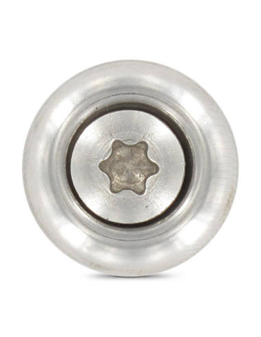 1 x Vis faitage Tête fraisée bombée TFB TORX...