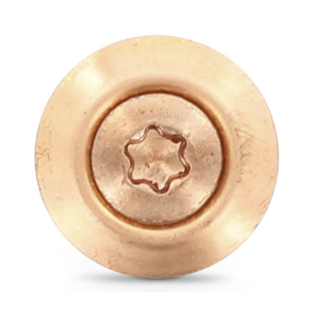 1 x Vis faitage Tête fraisée bombée TFB TORX T20 Inox A2 cuivre 5X220 Rondelle d'étanchéite EPDM 3P