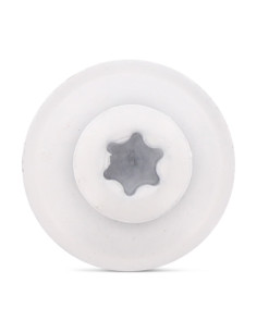 Vis faitage Tête fraisée bombée TFB TORX T20 Inox A2... 2