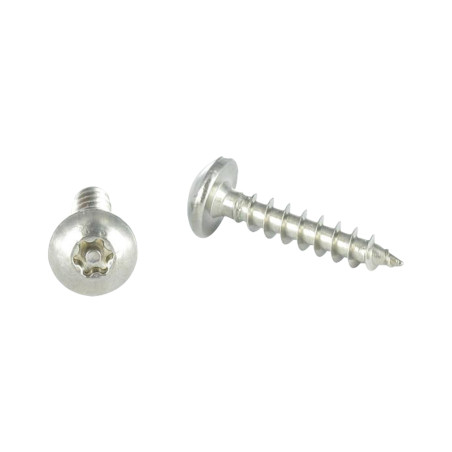 1 x Vis Penture Inviolable TORX T30 avec téton 6X50 Inox A2