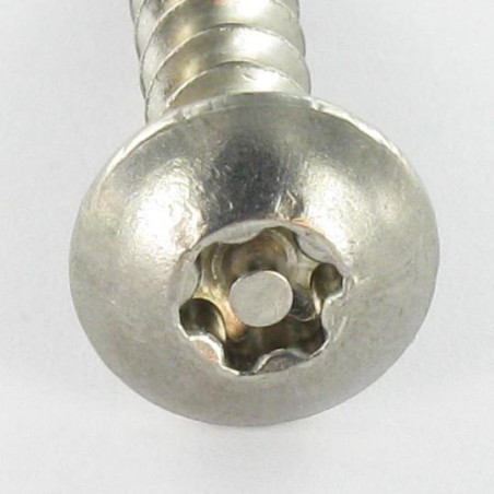 1 x Vis Penture Inviolable TORX T30 avec téton 6X50 Inox A2