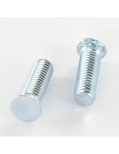 1 x Vis à sertir M6X20 Classe 6.8 Acier zingué