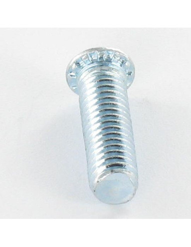 1 x Vis à sertir M6X20 Classe 6.8 Acier zingué