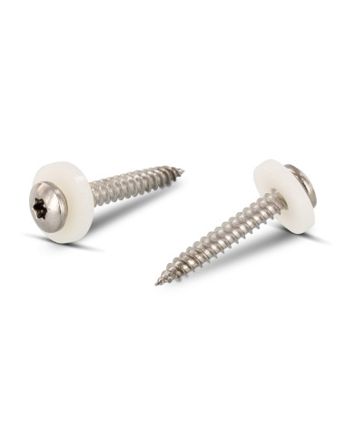 1 x Vis tôle Tête cylindrique TC TORX T15 +...