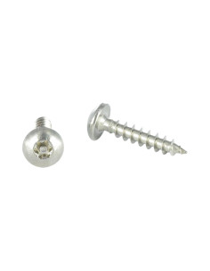 Vis Penture Inviolable TORX T30 avec téton 6X30 Inox A2
