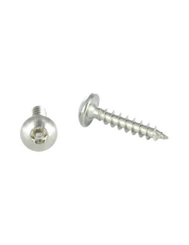 1 x Vis Penture Inviolable TORX T30 avec téton...