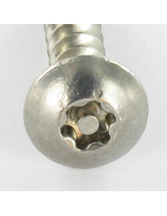Vis Penture Inviolable TORX T30 avec téton 6X30 Inox A2 2