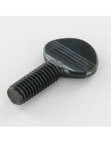 1 x Vis VIOLON M6X15 Acier zingué noir