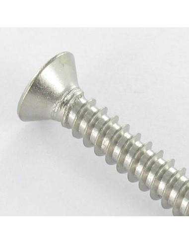 1 x Vis tôle Inviolable Tête fraisée Snake eyes...