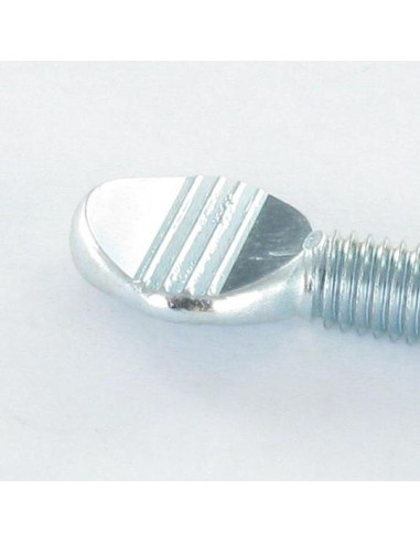 1 x Vis VIOLON M5X10 Acier zingué