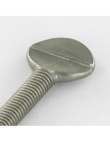 1 x Vis VIOLON M5X30 Inox A2
