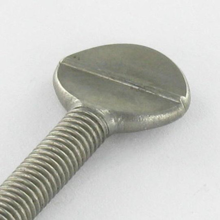 1 x Vis VIOLON M5X30 Inox A2