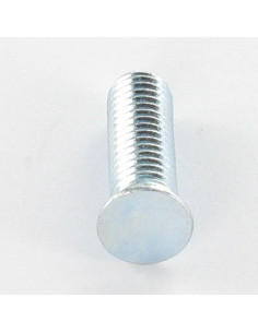 Vis à sertir M6X16 Acier zingué 2