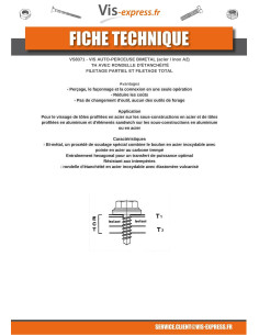 Vis autoperceuse Bimétal Tête hexagonale TH 5.5X90... 2