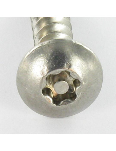 1 x Vis Penture Inviolable TORX T30 avec téton...