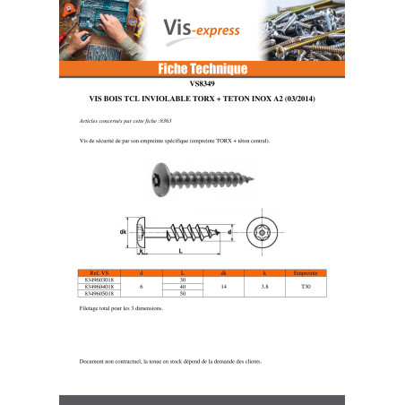1 x Vis Penture Inviolable TORX T30 avec téton 6X40 Inox A2