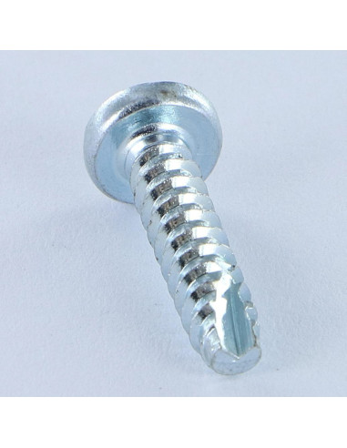1 x Vis pvc Tête cylindrique bombée TCB Pozi...