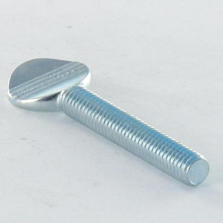 1 x Vis VIOLON M4X20 Acier zingué