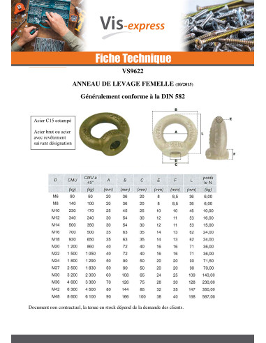 1 x Anneau de levage Femelle M30 Acier zingué