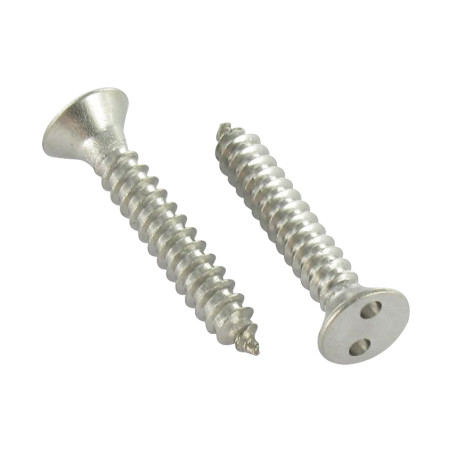 1 x Vis tôle Inviolable Tête fraisée Snake eyes 4.8X38 Inox A2