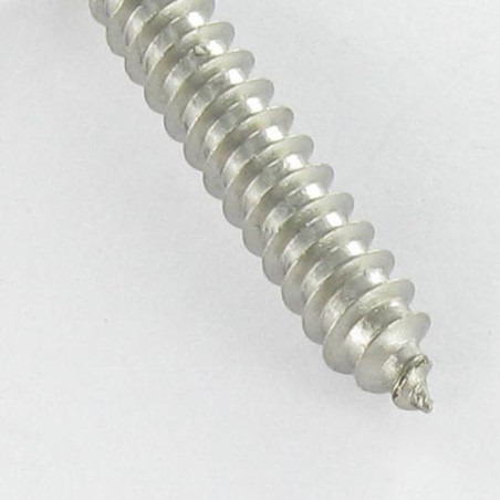 1 x Vis tôle Inviolable Tête fraisée Snake eyes 4.8X38 Inox A2