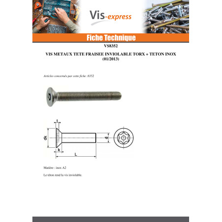 1 x Vis métaux Inox A2 Inviolable Tête fraisée TORX T20 avec téton M4X16