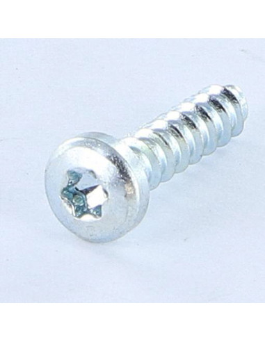 1 x Vis pvc TRILOBE Tête cylindrique bombée TCB...