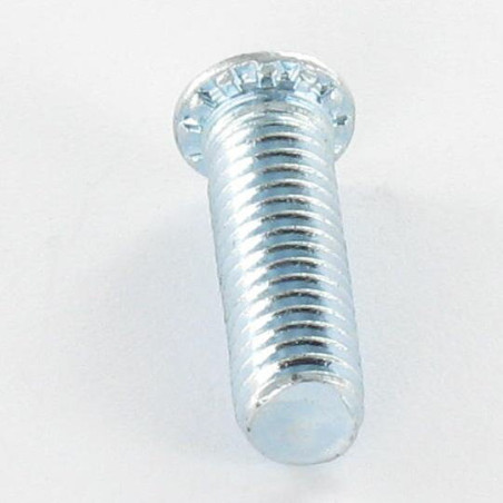 1 x Vis à sertir M6X25 Acier zingué