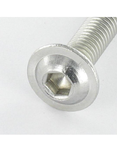 1 x Vis métaux BHC (Tête Bombée Hexagonal...