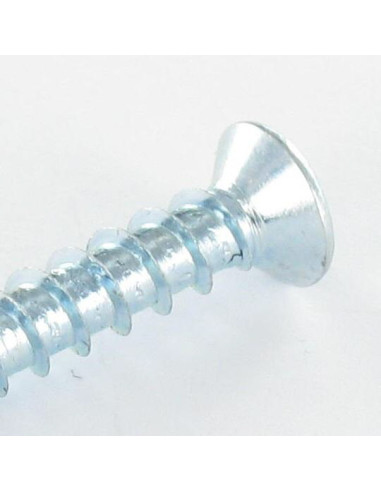 1 x Vis pvc TRILOBE Tête fraisée Pozi 5X30...