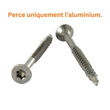 1 x VBA Vis bois agglo Vis autoperceuse Tête fraisée Cranté 5X100 TORX T25 Inox A2